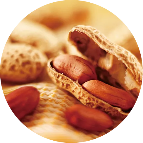 ピーナッツと美容・健康のイメージ画像