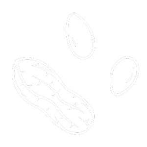 栄養面を考え、ピーナッツバターをたくさん使用していること